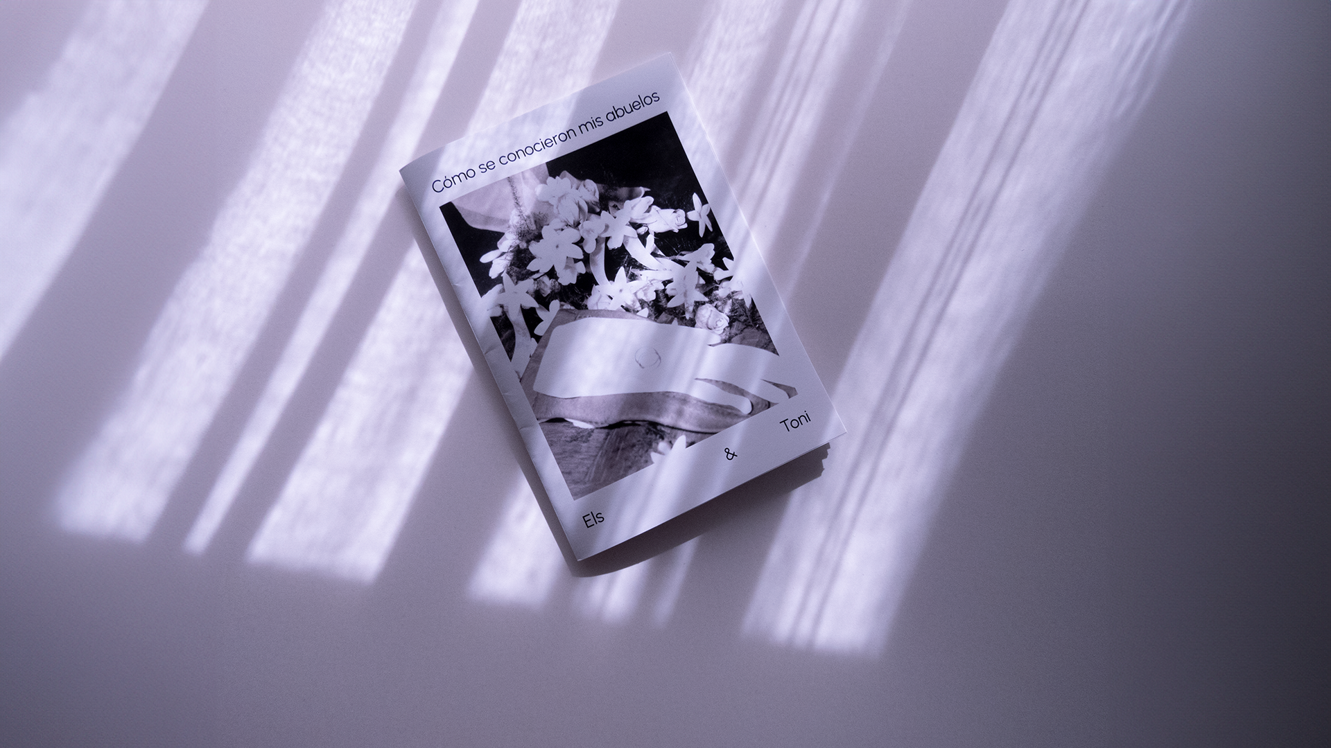 imagen principal del proyecto Cómo se conocieron mis abuelos