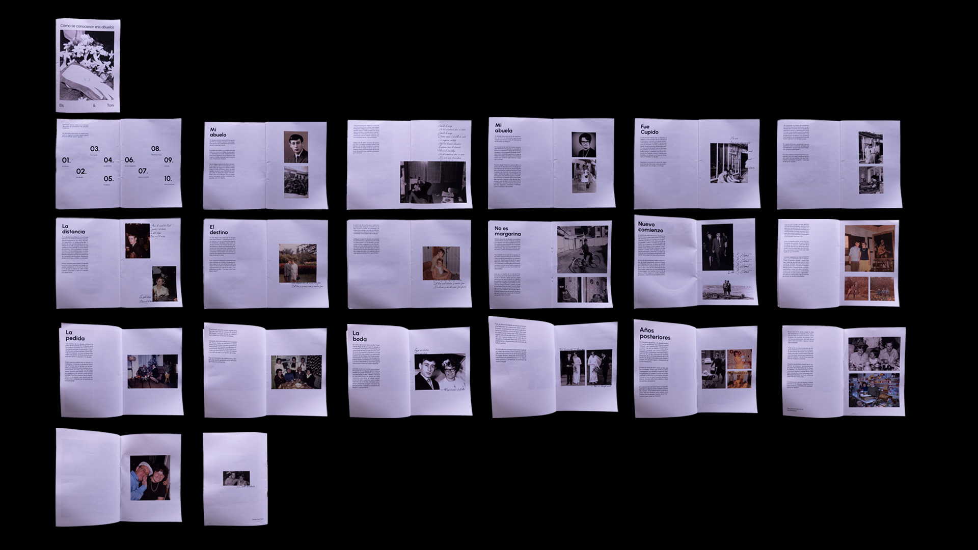 imagen general del proyecto Cómo se conocieron mis abuelos
